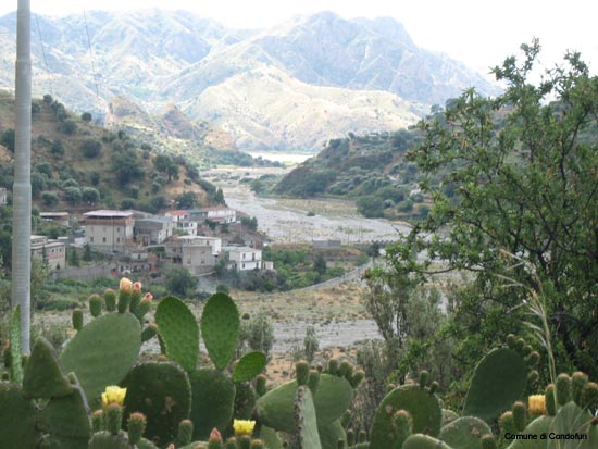 Carcara