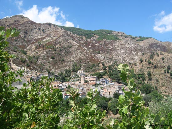 Gallicianò  3