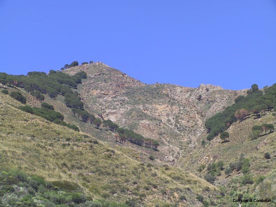 Grappidà