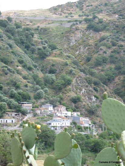Mangani