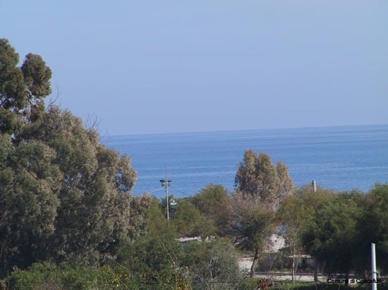 Mare 1