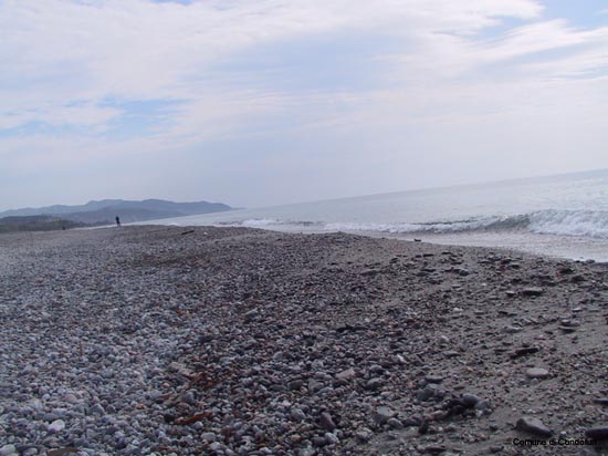 Mare Spiaggia vuota 3