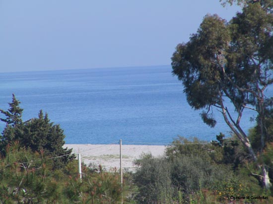 Mare