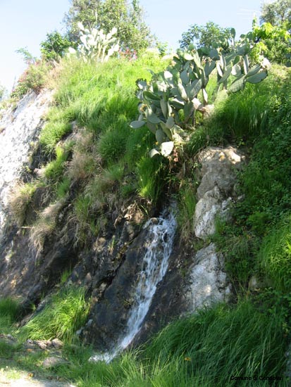 natura fresca