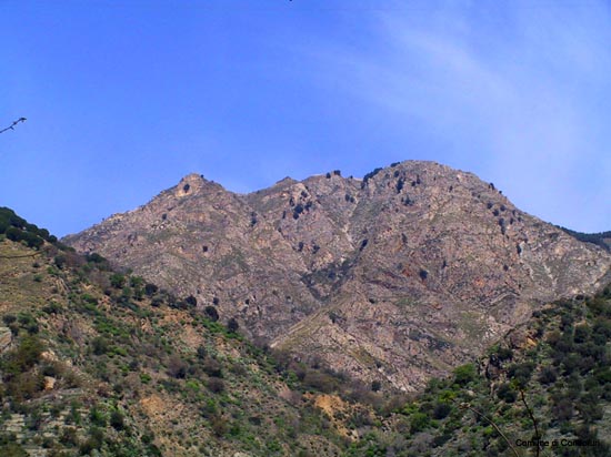 scafi