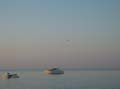 Mare Alba con gabbiano