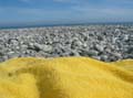 Mare spiaggia meditazione