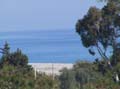 Mare