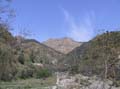 Scafi 5